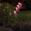 Smart Solar Foxglove Solar Flower -Lawn and plant care Store 39299 12015
