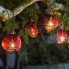 Smart Solar Ladybird Lights - Set Of 10 -Lawn and plant care Store 39378 11922
