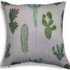 Cacti Scatter Cushion -Lawn and plant care Store 39568 11690