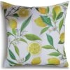 Lemon Tree Scatter Cushion 1 Lemon Tree Scatter Cushion -Lawn and plant care Store 39572 11686