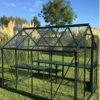 Vitavia Apollo Greenhouse With Integrated Base -Lawn and plant care Store 42116 39737