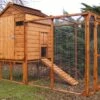 A1 Raised Chicken Coop -Lawn and plant care Store 50154 33545