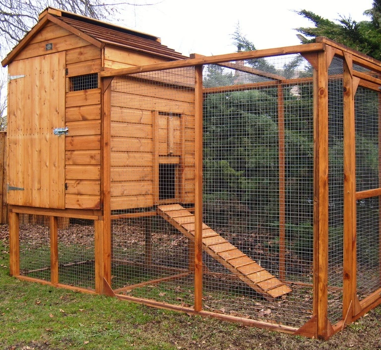 A1 Raised Chicken Coop 3 A1 Raised Chicken Coop