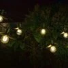 Smart Garden Vivo 365 String Lights - Set Of 8 -Lawn and plant care Store 50725 31886