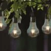 Smart Garden Eureka! Retro Lightbulb, 4 Pack -Lawn and plant care Store 50895 31443