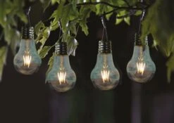 Smart Garden Eureka! Retro Lightbulb, 4 Pack