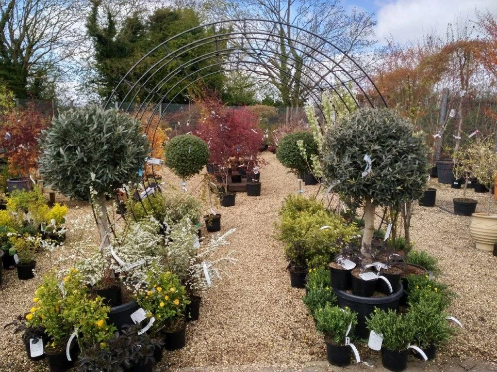 Poppy Forge Round Tunnel 4 Poppy Forge Round Tunnel - Image 2