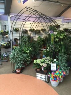 Poppy Forge Gothic Tunnel -Lawn and plant care Store 53258 26528