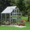 Halls Greenhouses Popular -Lawn and plant care Store 53451 26017